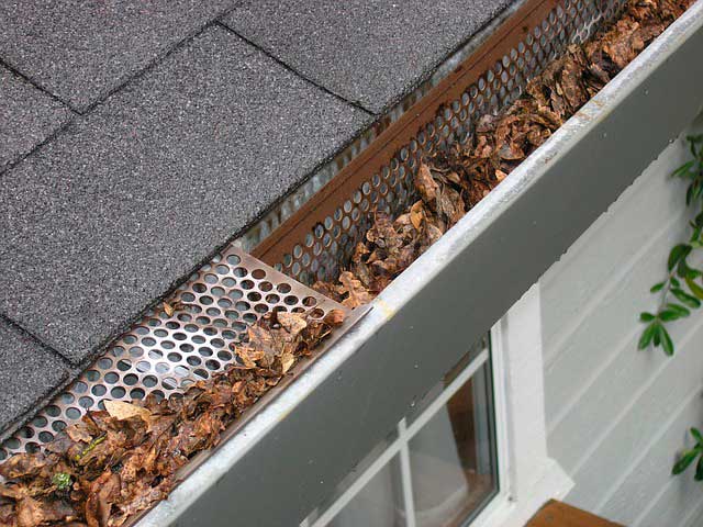 Stock photo of gutter full of leaves.  Window below the gutter.